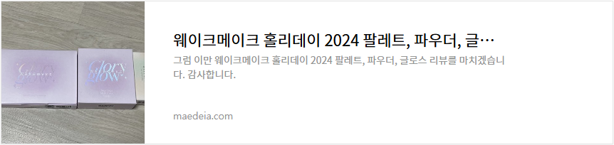 웨이크메이크 홀리데이 2024 팔레트, 파우더, 글로스 리뷰