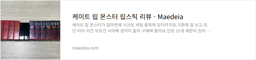 케이트 립 몬스터 립스틱 리뷰