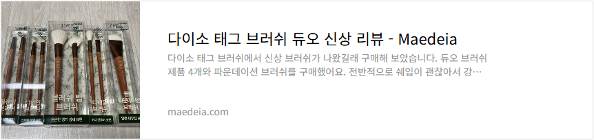 다이소 태그 브러쉬 듀오 신상 리뷰