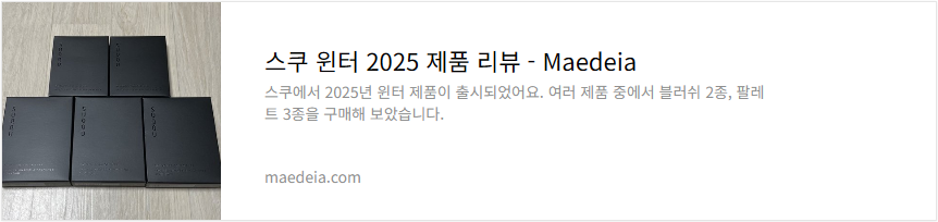 스쿠 윈터 2025 제품 리뷰