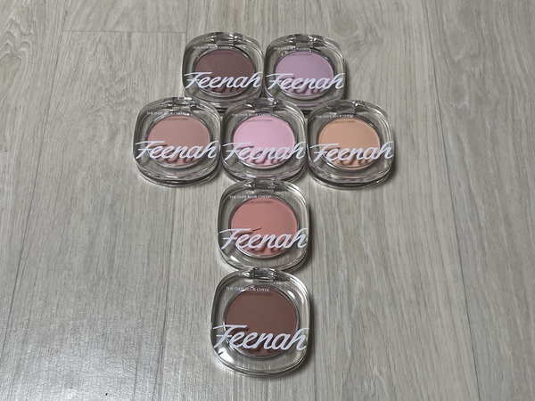 피나 치크 케이스 사진