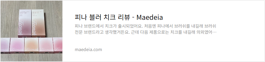 피나 블러 치크 리뷰