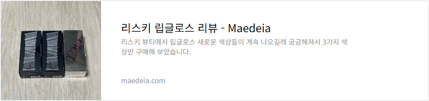 리스키 립글로스 리뷰