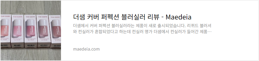 더샘 커버 퍼펙션 블러실러 리뷰