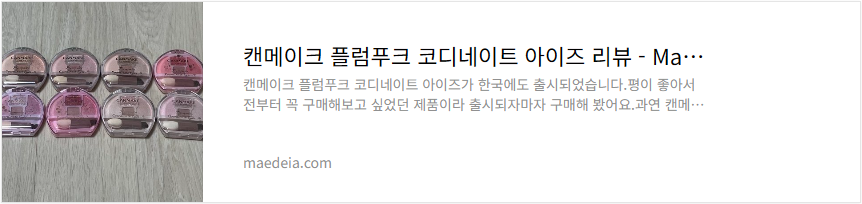 캔메이크 플럼푸크 코디네이트 아이즈 리뷰