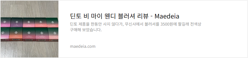 딘토 비 마이 웬디 블러셔 리뷰