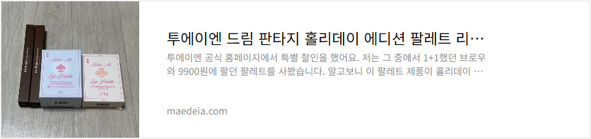 투에이엔 드림 판타지 홀리데이 에디션 팔레트 리뷰