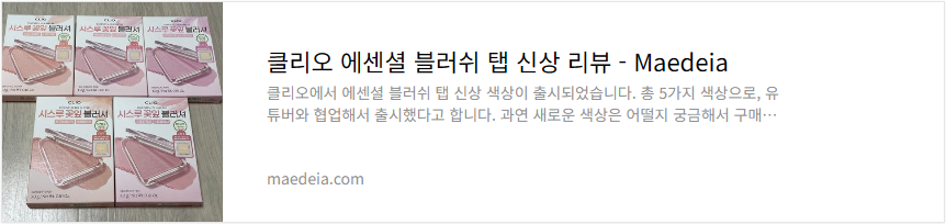 클리오 에센셜 블러쉬 탭 신상 리뷰