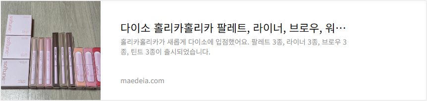 다이소 홀리카홀리카 팔레트, 라이너, 브로우, 워터틴트 리뷰
