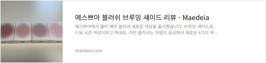 에스쁘아 블러쉬 브루잉 섀이드 리뷰