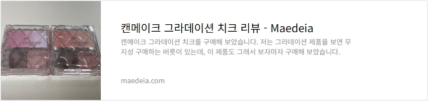 캔메이크 그라데이션 치크 리뷰